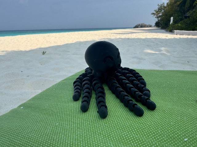 Flexible Octopus