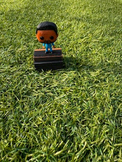 Custom Figurine