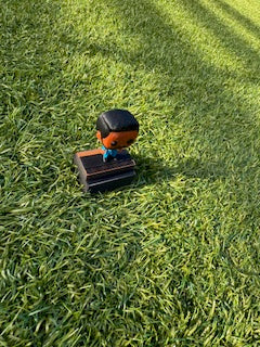 Custom Figurine