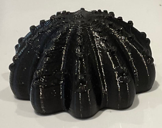 Detailed Jellyfish Head Fidget Toy (Can also be used as a tiny bowl)