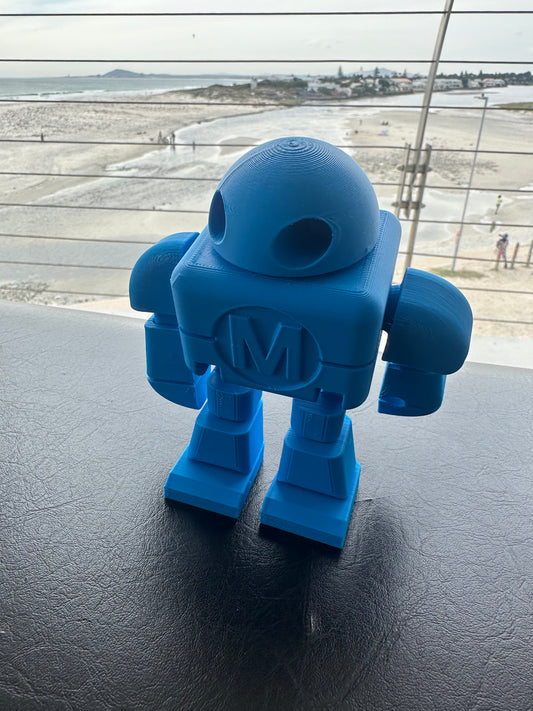 Small Flexible Robot