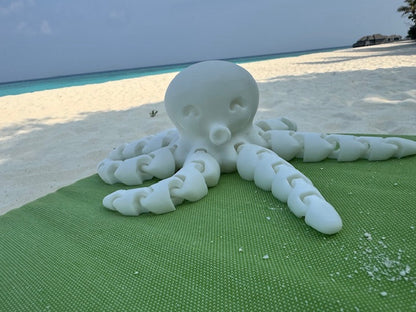 Flexible Octopus