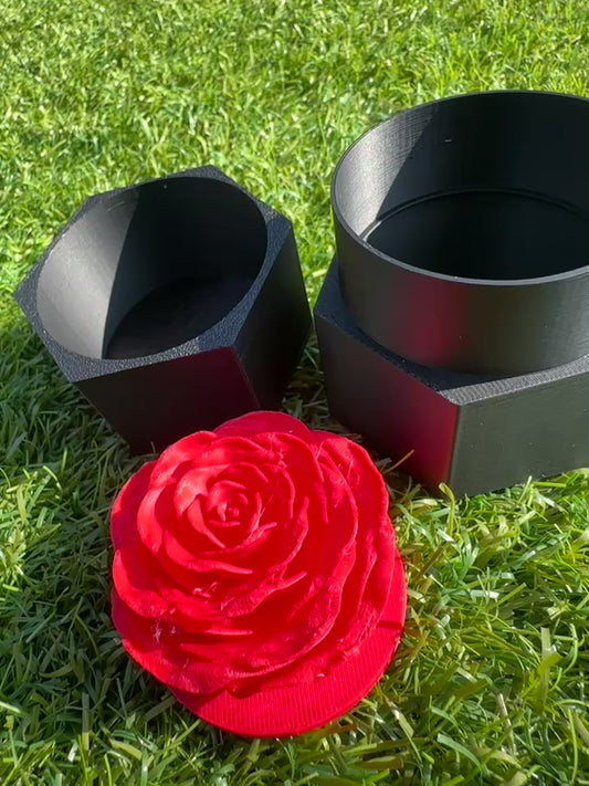 Intricate Rose In Hexagonal Box