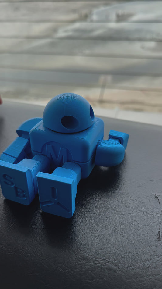 Small Flexible Robot